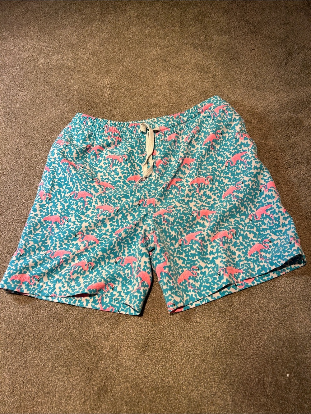 chubbies Kids Aqua Swim Trunks with Pink Flamingo Print